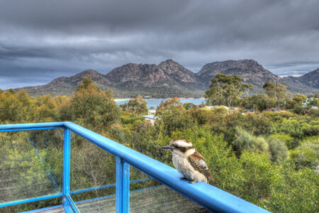 003-bluegum-retreat