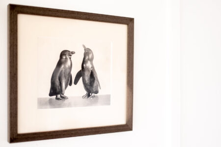 016-island-vista-(1)