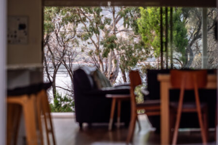 032-driftwood-puddlehub