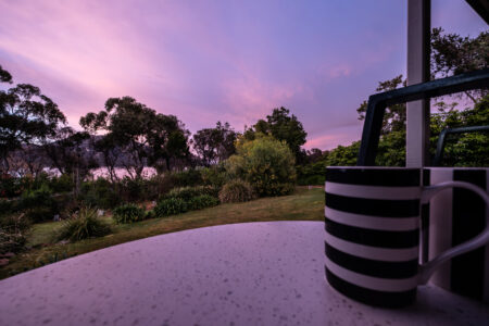 036-driftwood-puddlehub