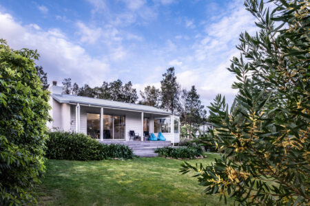 040-driftwood-puddlehub-(1)