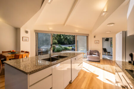 041-driftwood-puddlehub