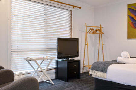 015--baby-penguin-(1)