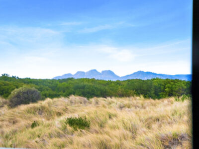 610 Dolphin Sands Road 2000px x 1500px - 36